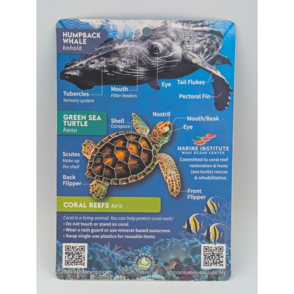 Hawaii Marine Life Guide Card from Maui Ocean Center Waterproof Fish ID - Picture 2 of 2